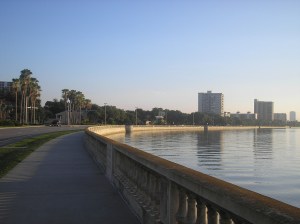 Out and back, sans hills.