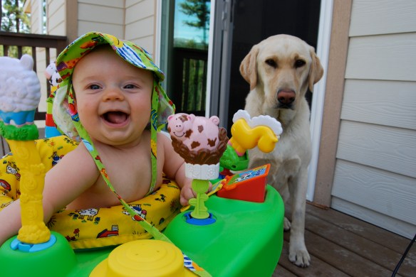 The Godson and the Labrador