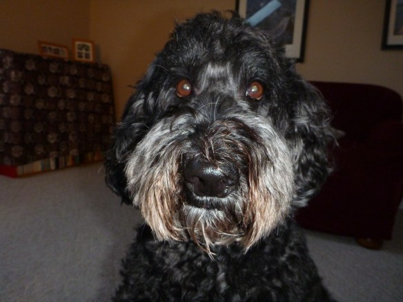 My editor watching intently